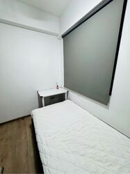 The Visionaire (D27), Condominium #619533991